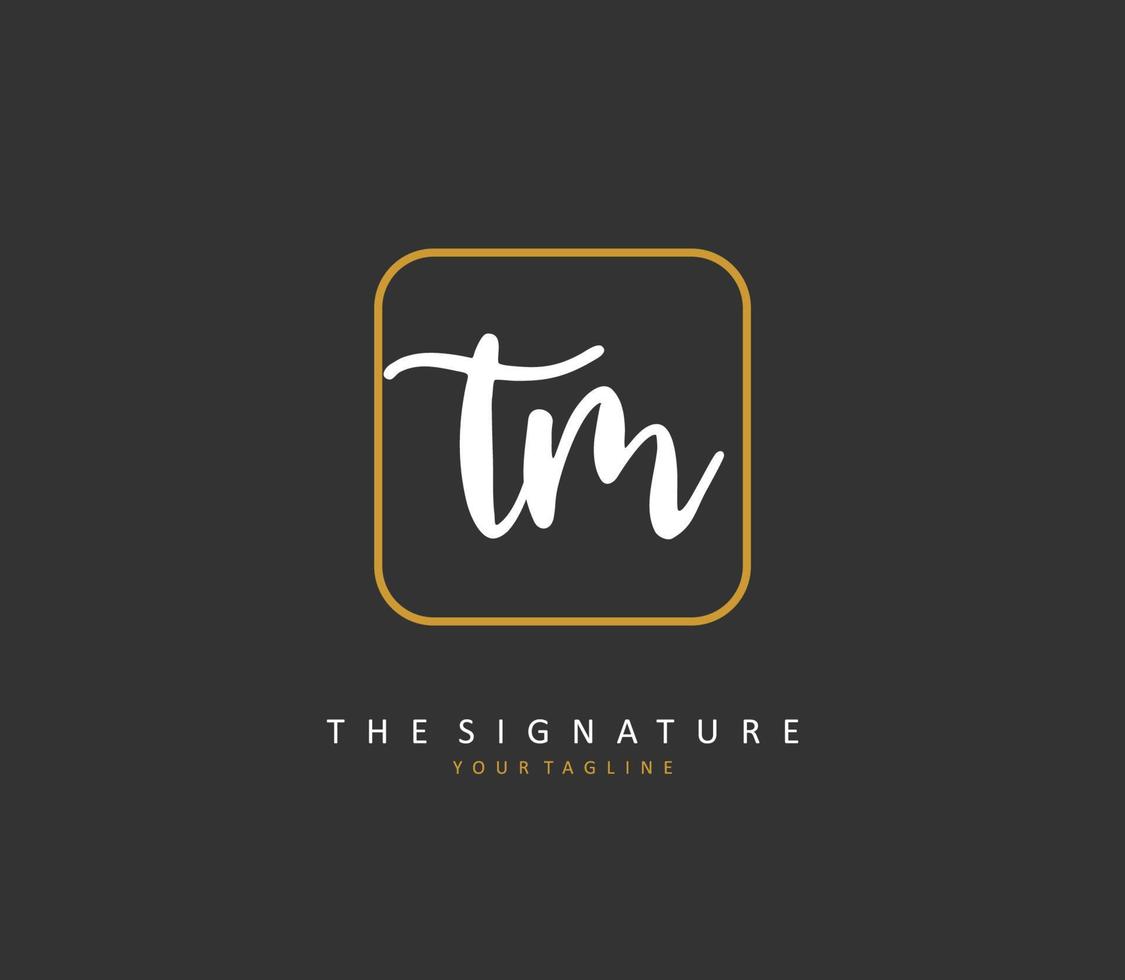 t m tm initiale lettre écriture et Signature logo. une concept écriture initiale logo avec modèle élément. vecteur