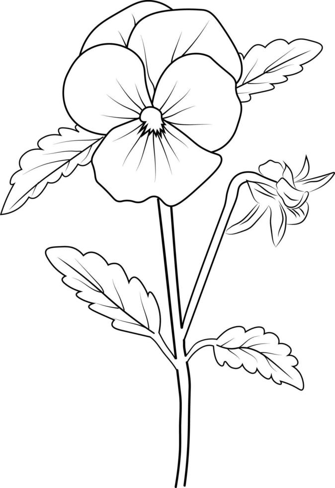 pensée fleur facile dessin, pensée fleur dessin facile pour enfants. Facile pensée fleur dessin, or du rhin contour, vecteur