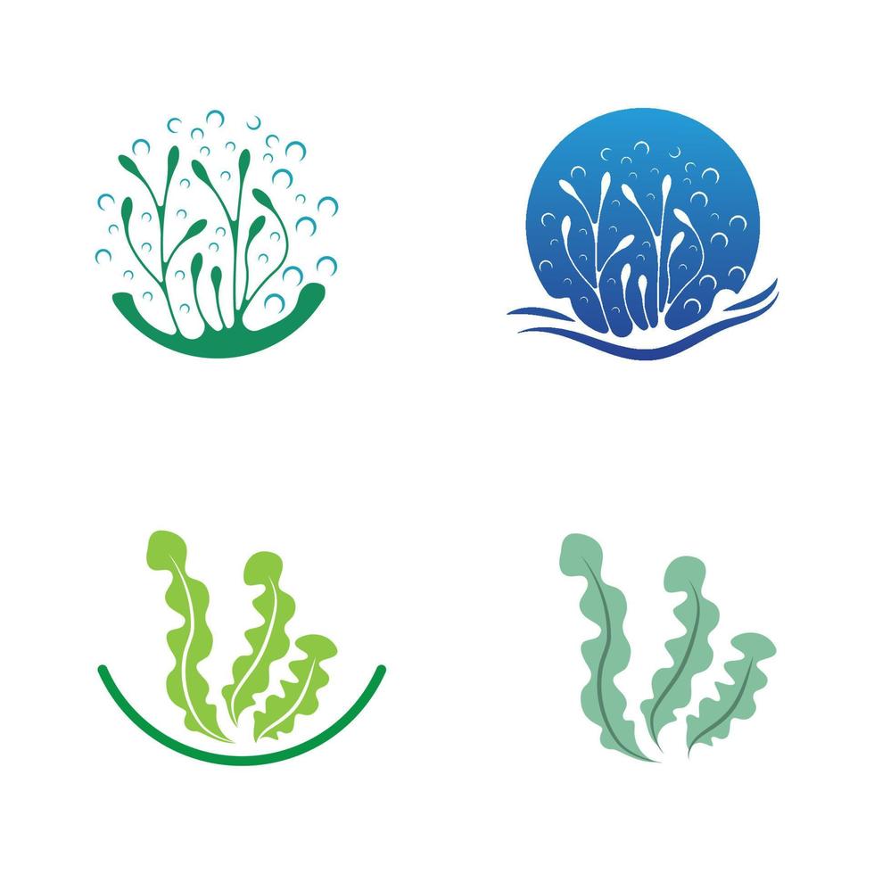 algue logo conception avec vecteur illustration modèle