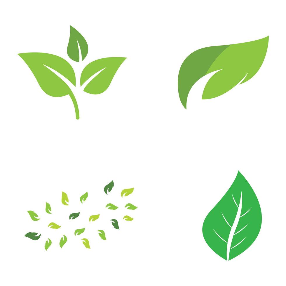 Naturel vert feuille logo icône modèle vecteur