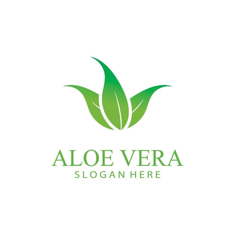 aloès Vera logo conception vecteur illustration modèle