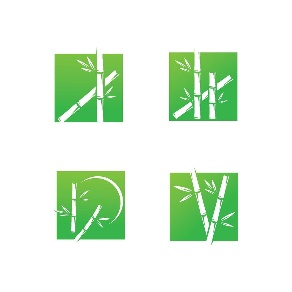 bambou logo avec vert feuilles vecteur illustration modèle