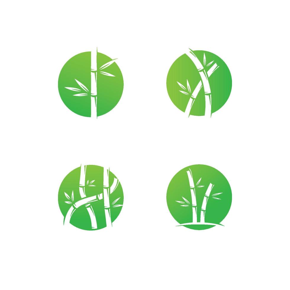 bambou logo avec vert feuilles vecteur illustration modèle