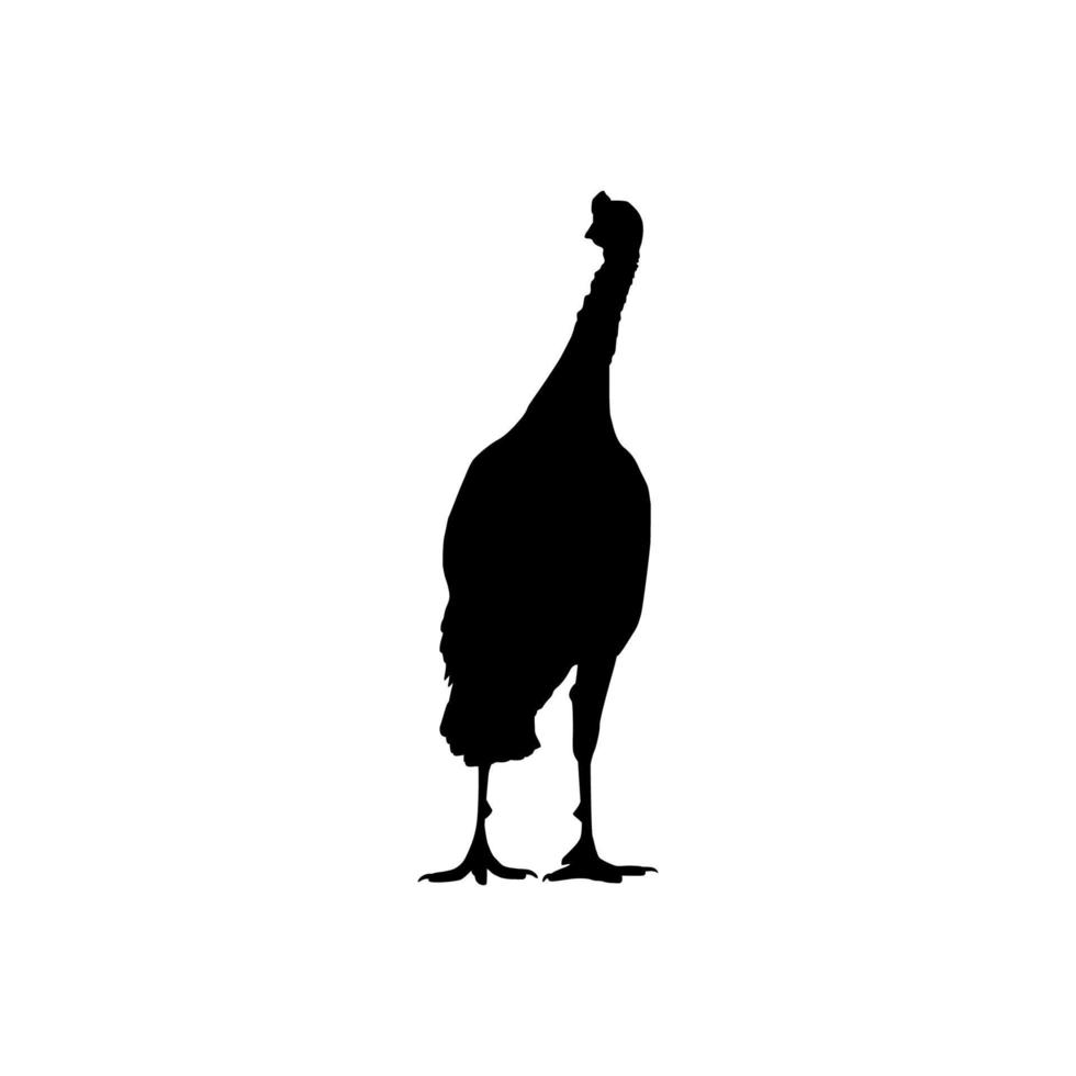 dinde silhouette pour art illustration, pictogramme ou graphique conception élément. le dinde est une grand oiseau dans le genre méléagris. vecteur illustration