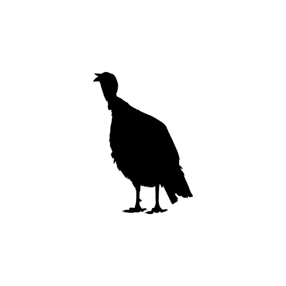 dinde silhouette pour art illustration, pictogramme ou graphique conception élément. le dinde est une grand oiseau dans le genre méléagris. vecteur illustration