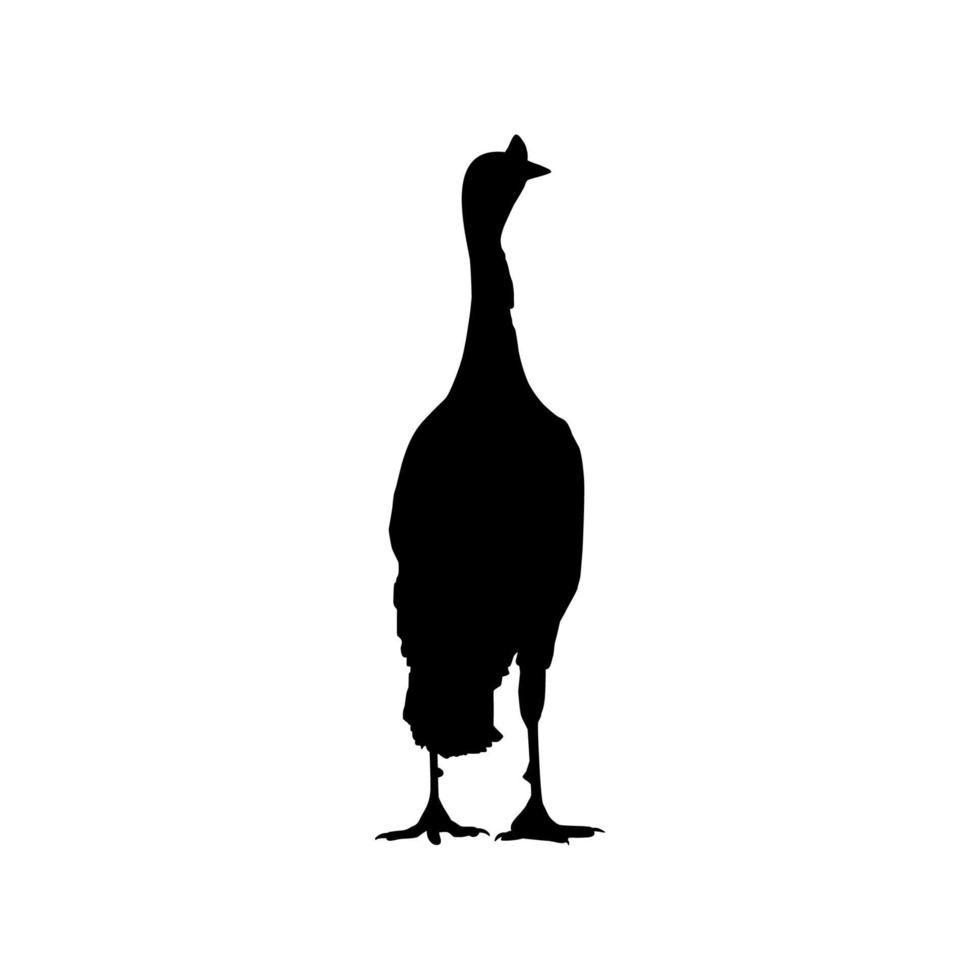 dinde silhouette pour art illustration, pictogramme ou graphique conception élément. le dinde est une grand oiseau dans le genre méléagris. vecteur illustration