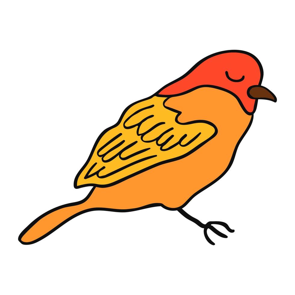 coloré illustration de petit oiseau vecteur