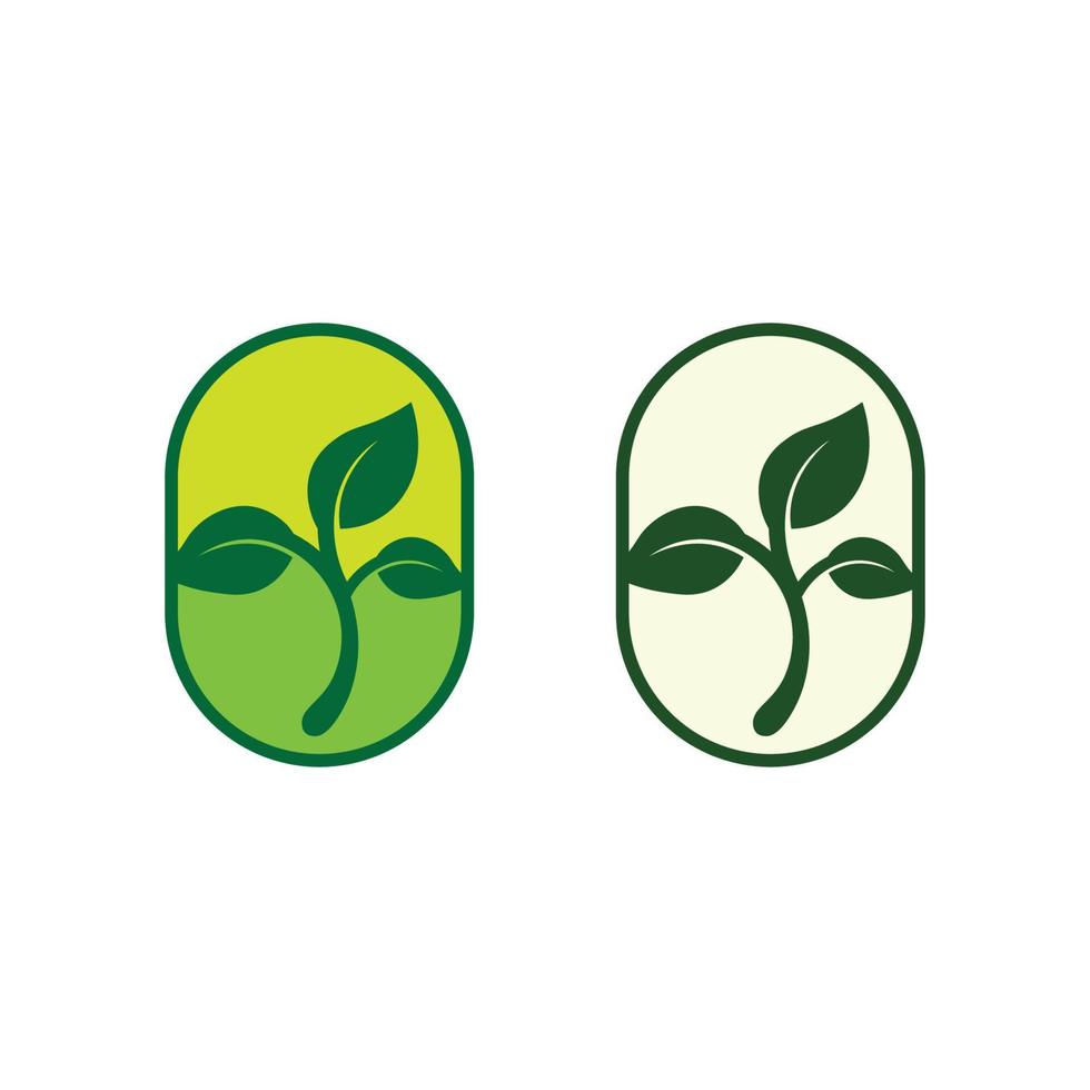 logo vectoriel eco energy avec symbole de feuille. couleur verte avec graphique flash ou tonnerre. nature et électricité renouvelable. ce logo convient à la technologie, au recyclage, au bio.