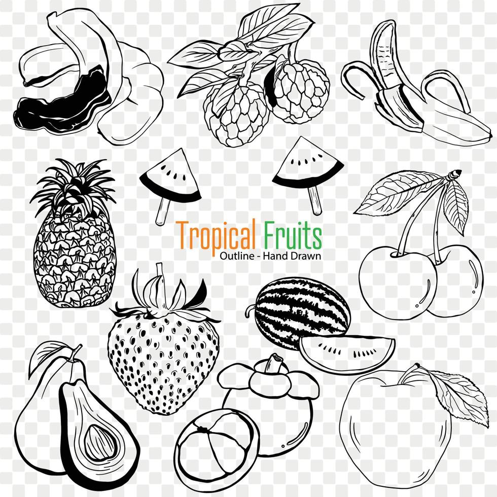 tropical fruit collection, agriculture fruit, jardinage, agriculture, biologique nourriture vecteur