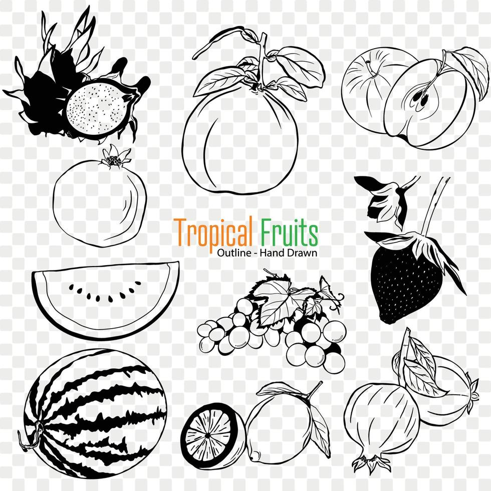 tropical fruit collection, agriculture fruit, jardinage, agriculture, biologique nourriture vecteur