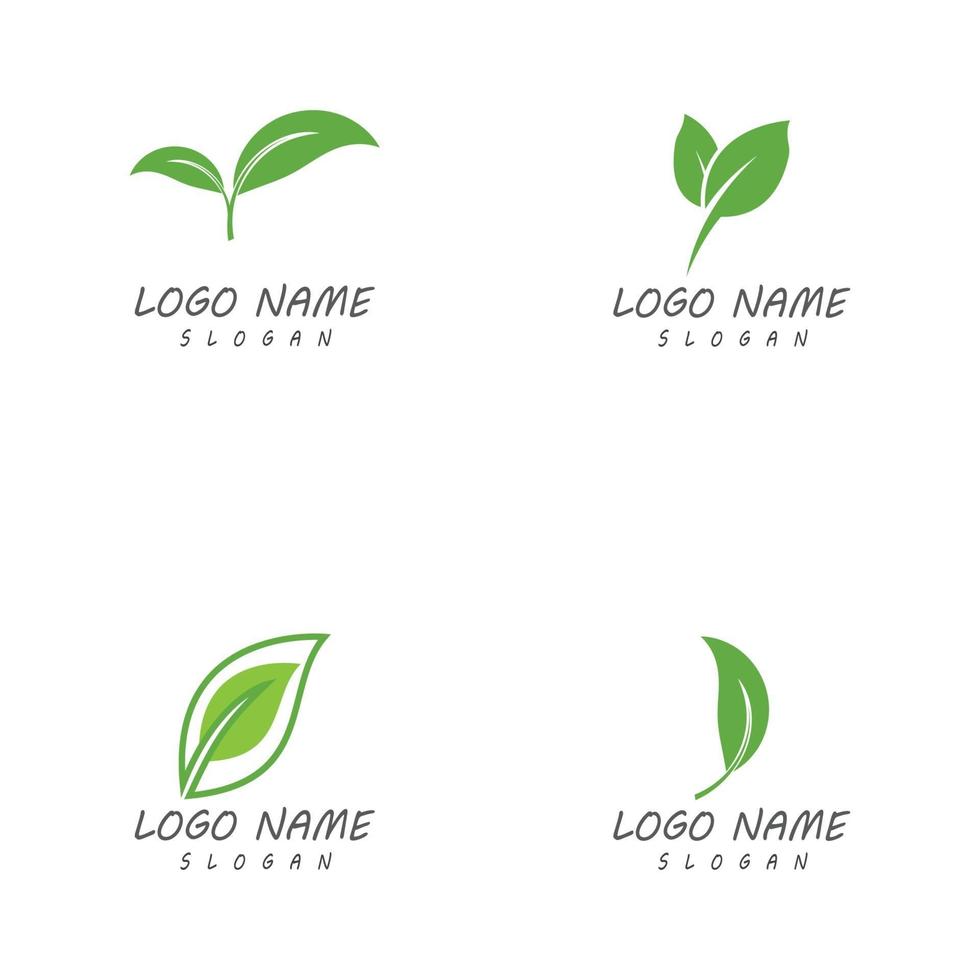 modèles de logo nature feuille vecteur