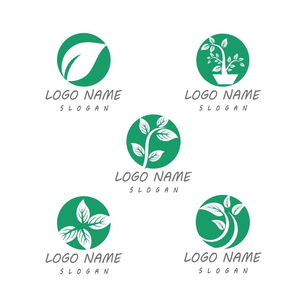 modèles de logo nature feuille vecteur