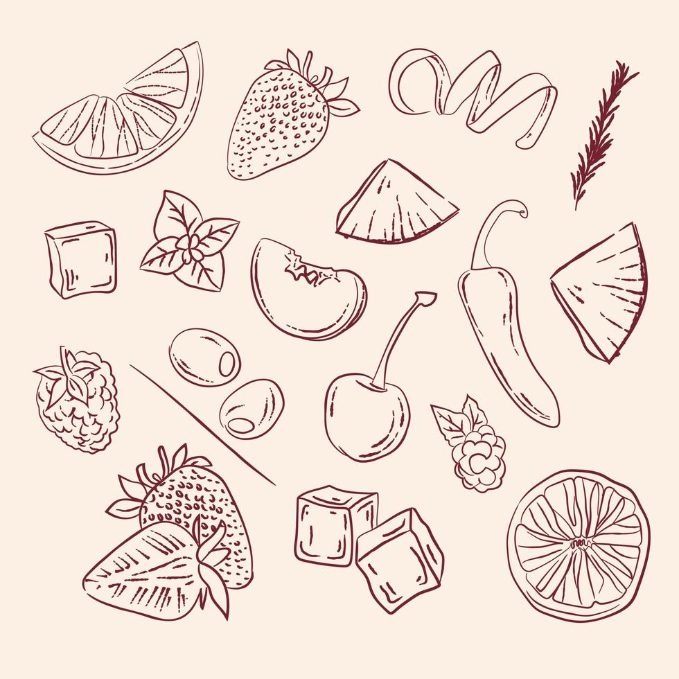 ensemble de vecteur des illustrations de fruit pour fabrication des cocktails dessiné à la main. ancien fruit illustration pour les menus