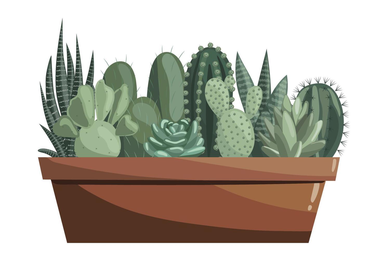 différent cactus dans céramique pot. succulentes, épineux poire, opuntia, haworthie, écheveria, zèbre cactus, sansevieria vecteur