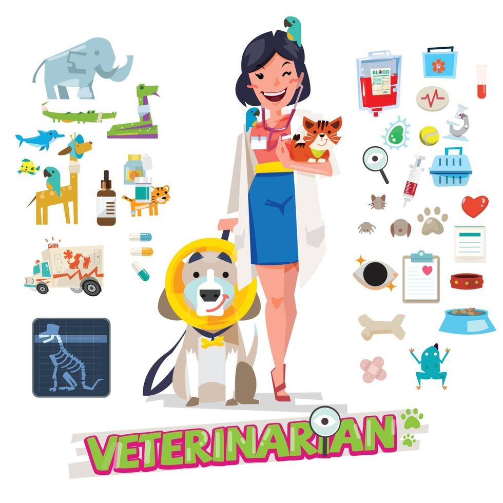 vétérinaire avec des animaux domestiques. icônes d'outils et d'équipement. vecteur