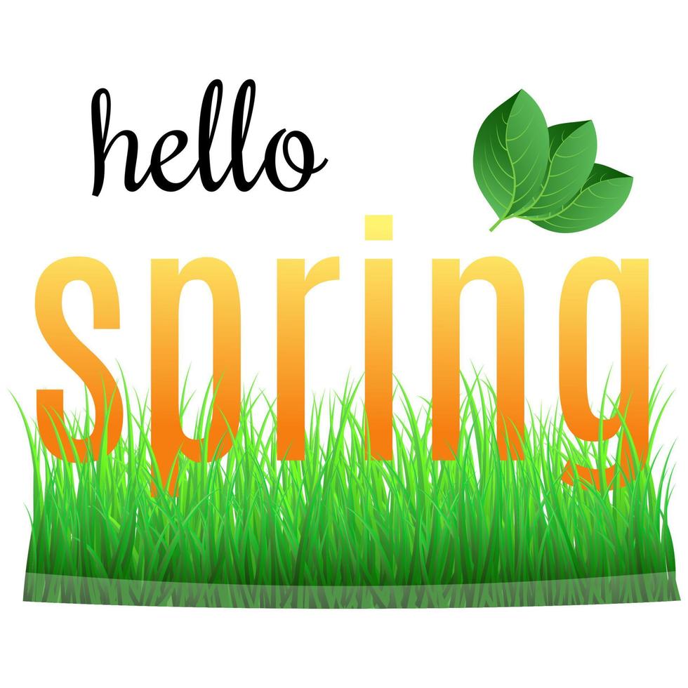 coloré phrase Bonjour printemps avec vert feuilles sur le herbe. vecteur