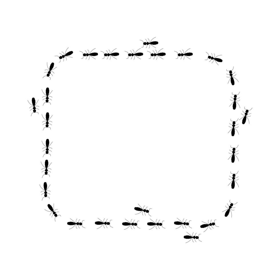 carré Cadre. fourmi Piste silhouette, une chemin de insectes dans chercher de aliments. isolé sur blanc Contexte vecteur