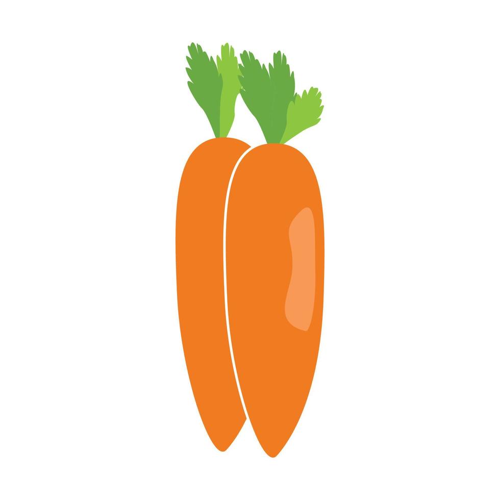 carotte icône vektor vecteur