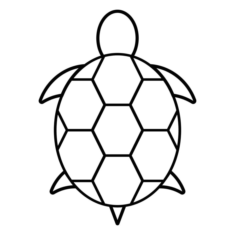 vecteur d'icône de tortue