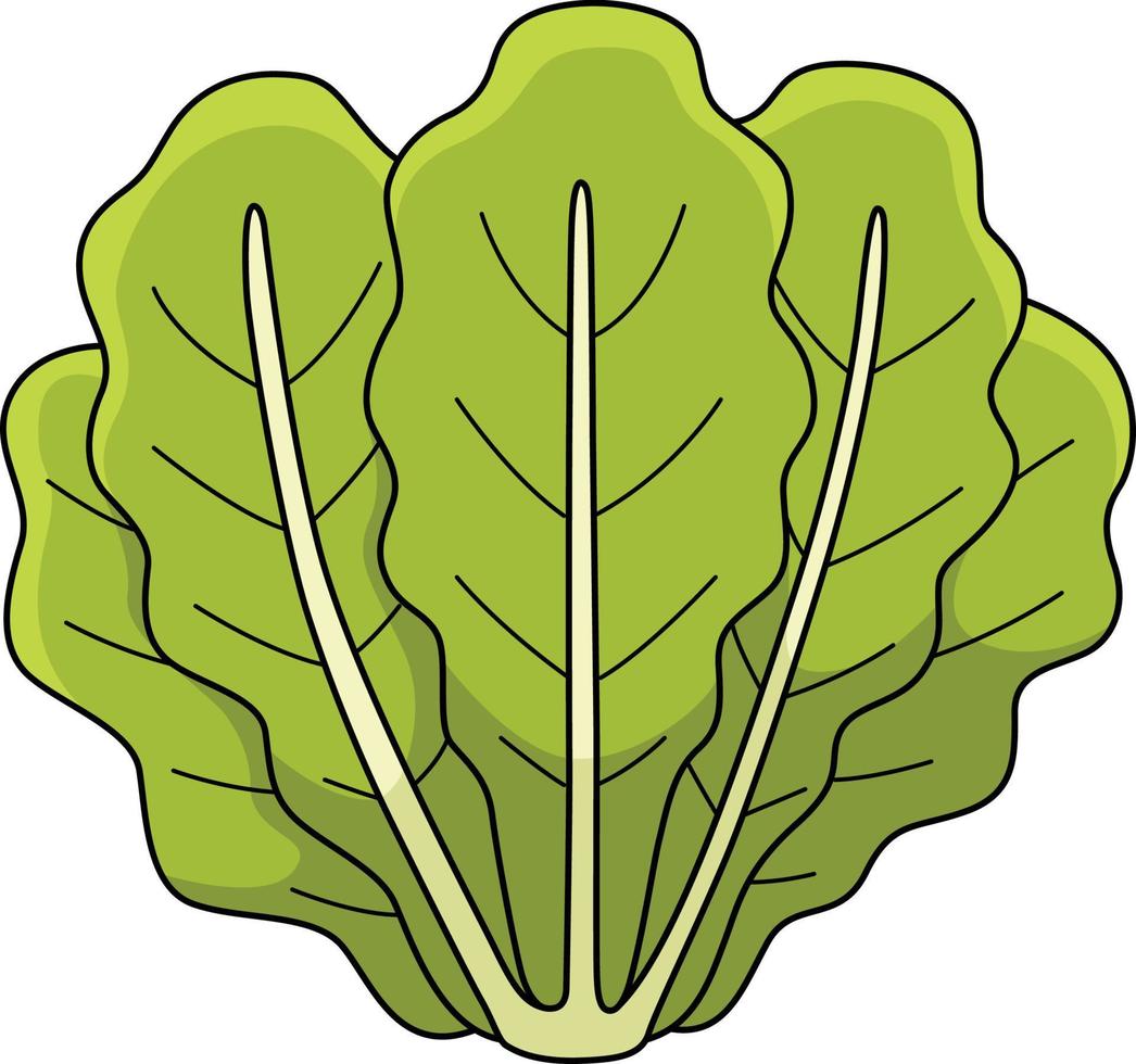 romaine salade légume dessin animé coloré clipart vecteur