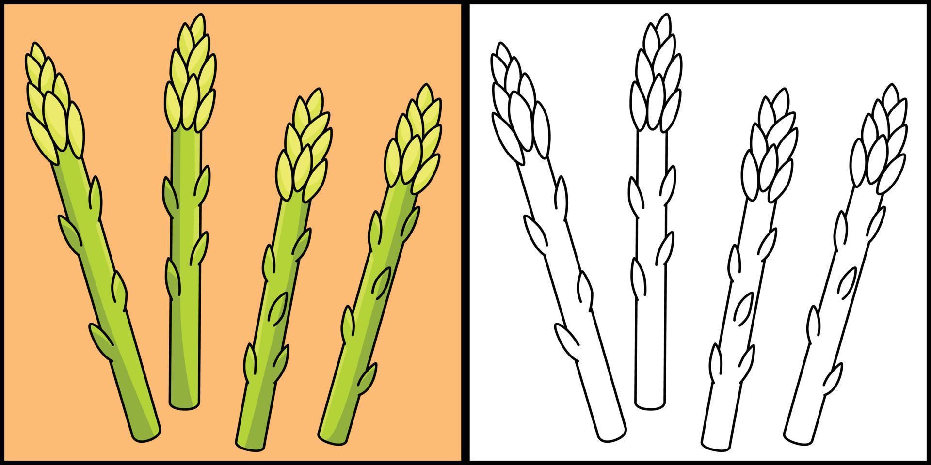 asperges légume coloration page illustration vecteur