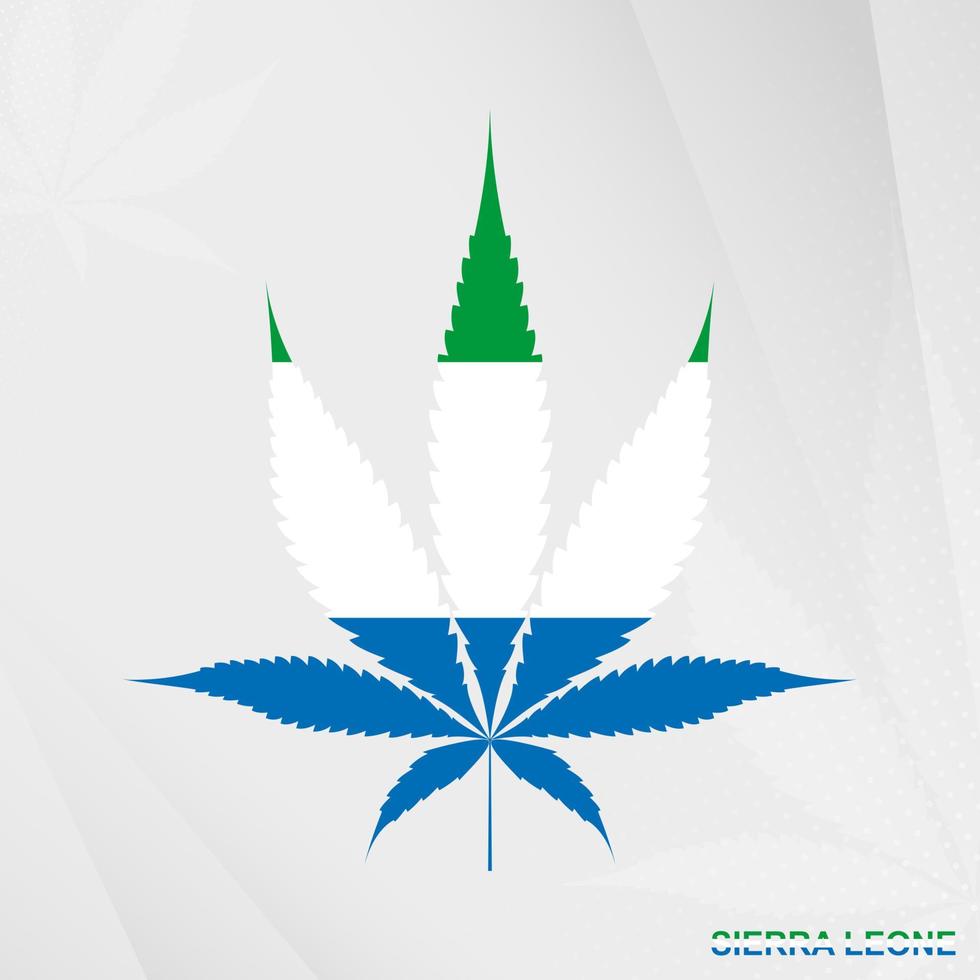 drapeau de sierra leone dans marijuana feuille forme. le concept de légalisation cannabis dans sierra Léon. vecteur