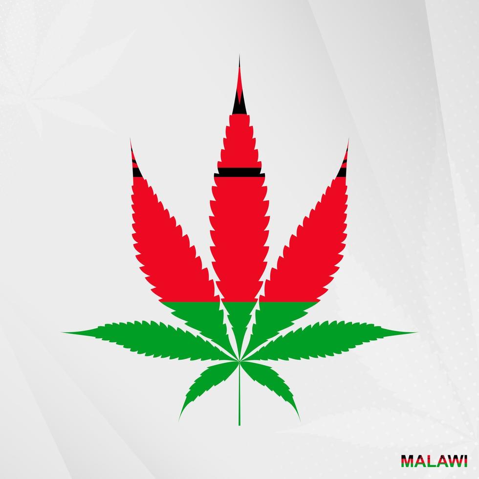 drapeau de Malawi dans marijuana feuille forme. le concept de légalisation cannabis dans Malawi. vecteur