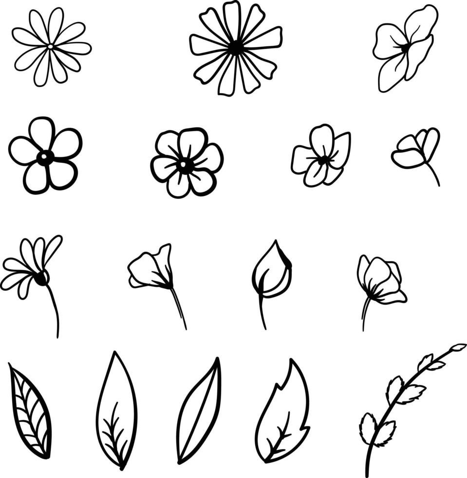 linéaire botanique éléments fleurs et feuilles vecteur