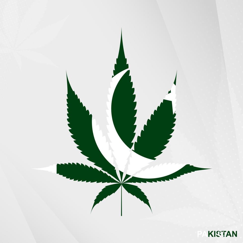 drapeau de Pakistan dans marijuana feuille forme. le concept de légalisation cannabis dans Pakistan. vecteur