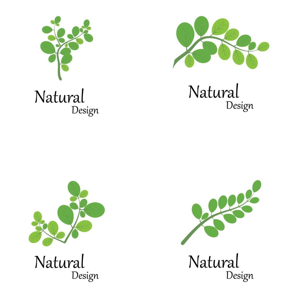 modèle de logo feuille nature verte vecteur