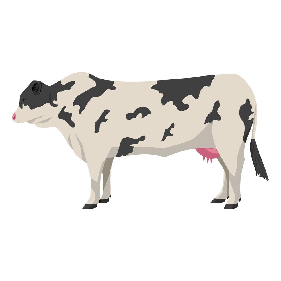 vache vecteur illustration, isolé sur blanc Contexte