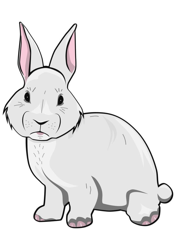 dessin animé lapin. facile à utilisation vecteur sans pour autant dégradés ou autre effets.