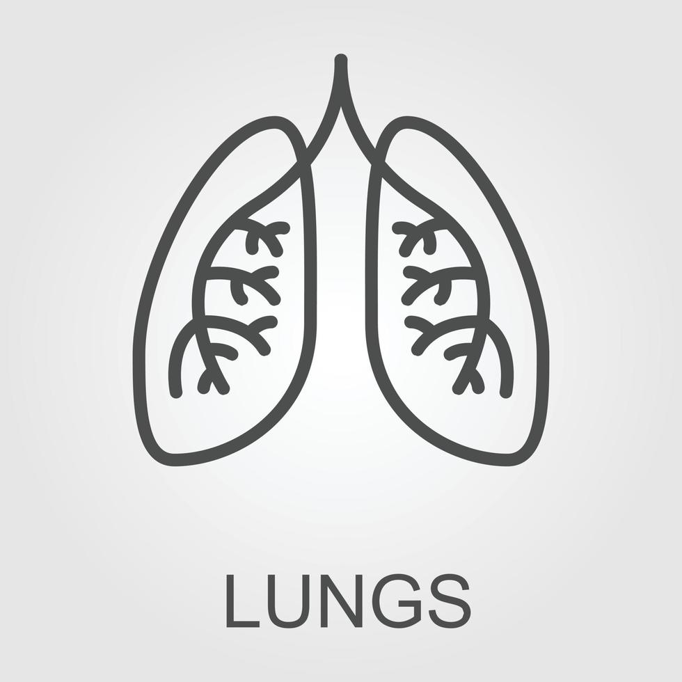 poumons vecteur icône conception modèle