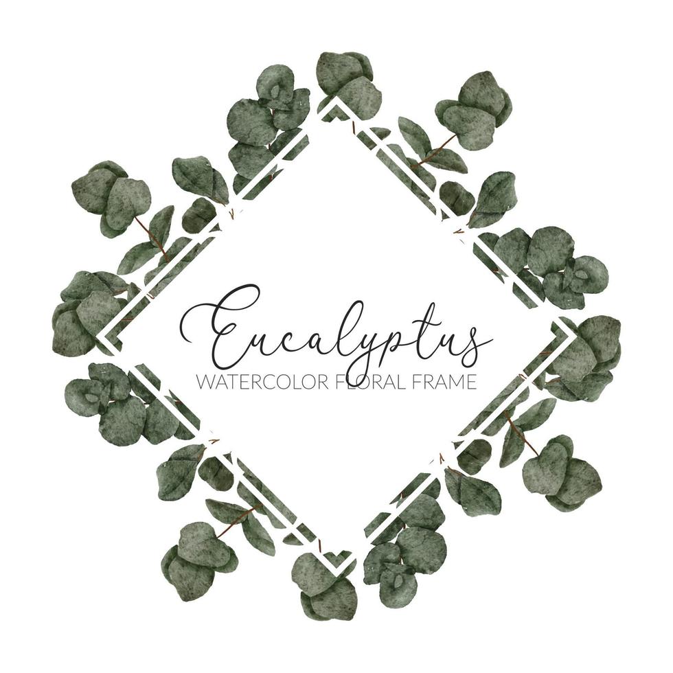 illustration de bordure de cadre aquarelle feuille d'eucalyptus vecteur