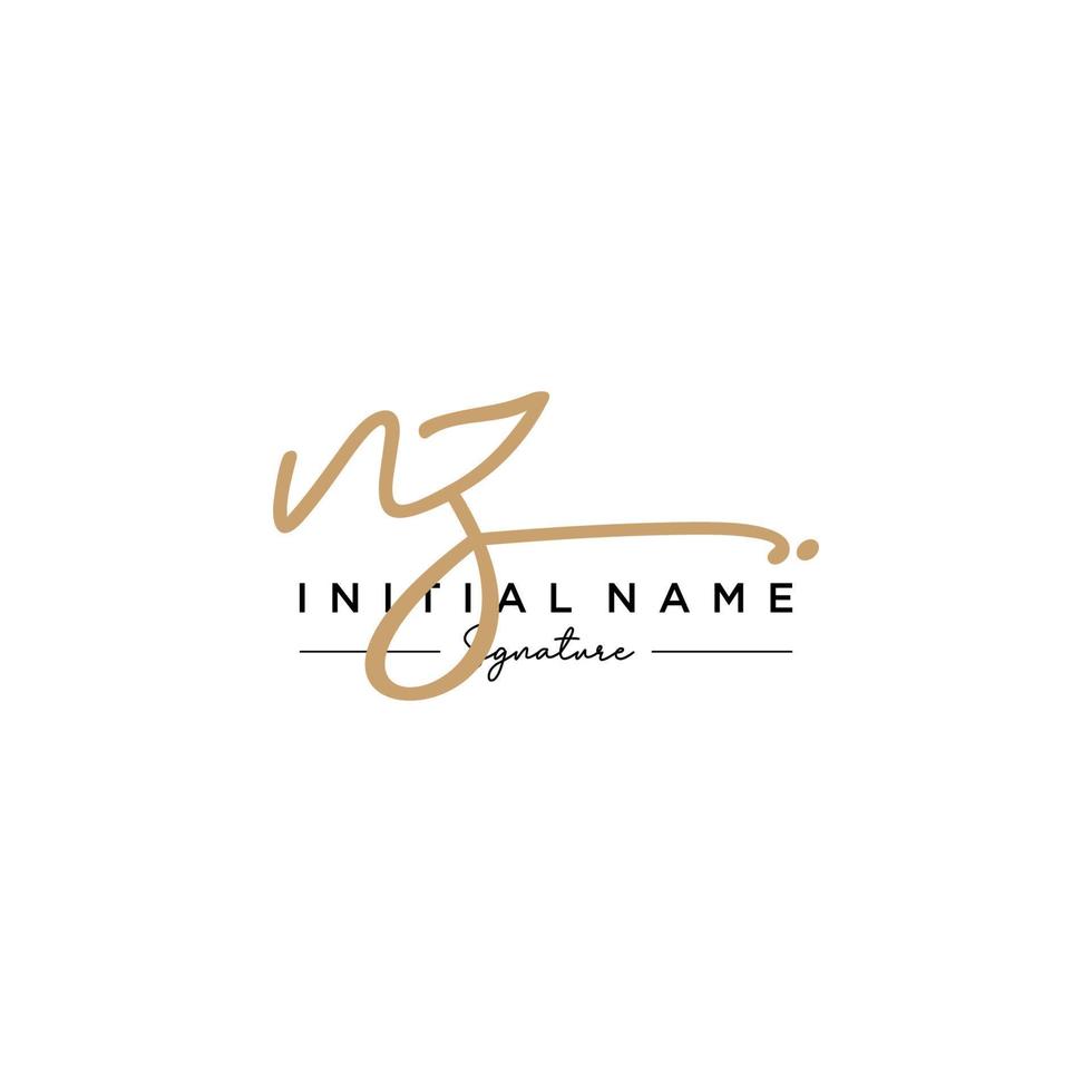 lettre nz signature logo template vecteur