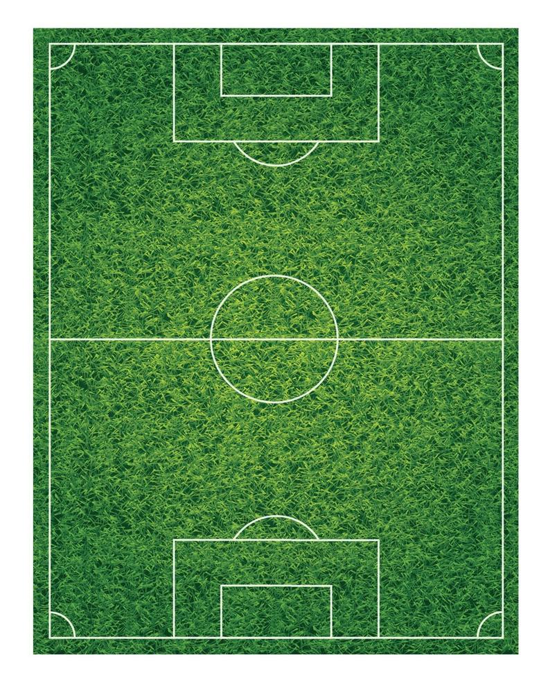 terrain de football classique réaliste avec revêtement vert bicolore vecteur