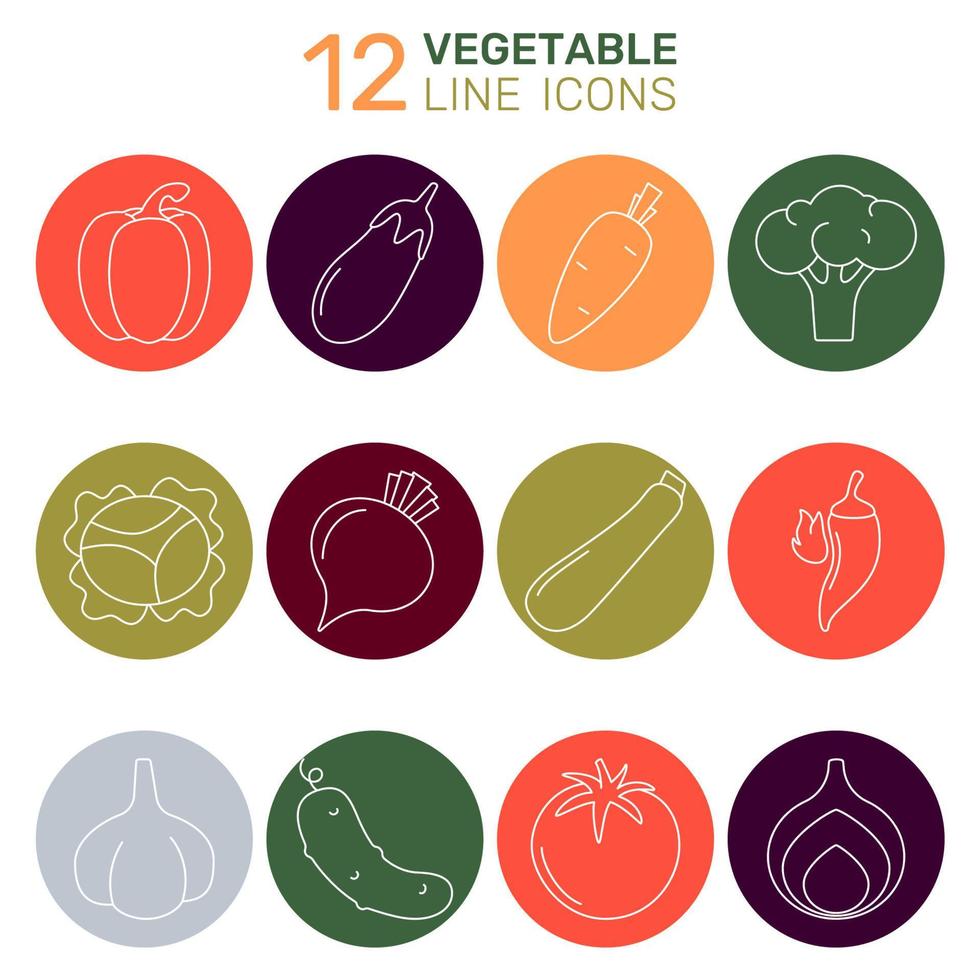 une ensemble de légume vecteur Icônes - tomate, concombre, poivre, oignon, ail, brocoli, chou, courgette, aubergine, chaud poivre, carotte, betterave. collection de contour Icônes.