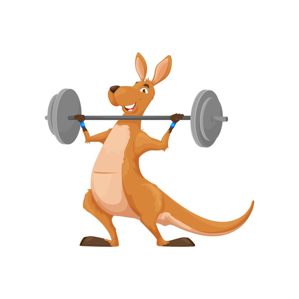 dessin animé kangourou sportif personnage avec haltère vecteur