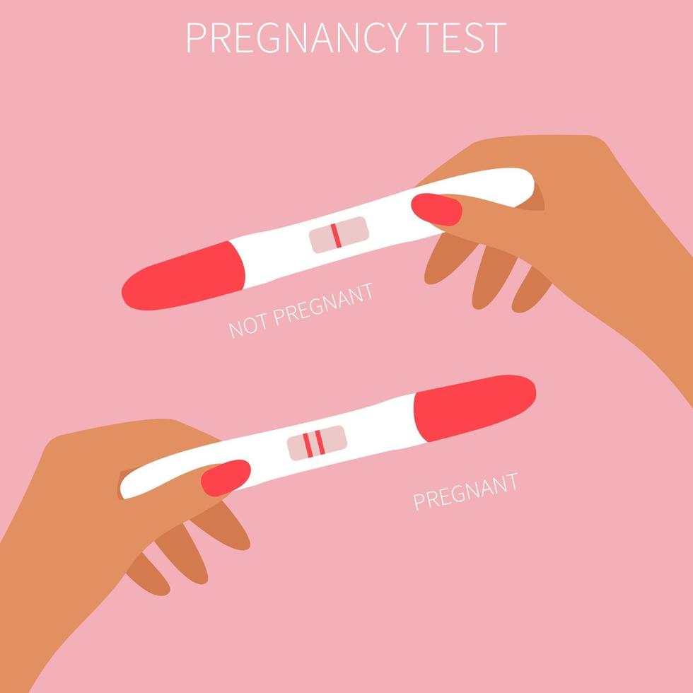 test de grossesse des résultats enceintes et non enceintes vecteur