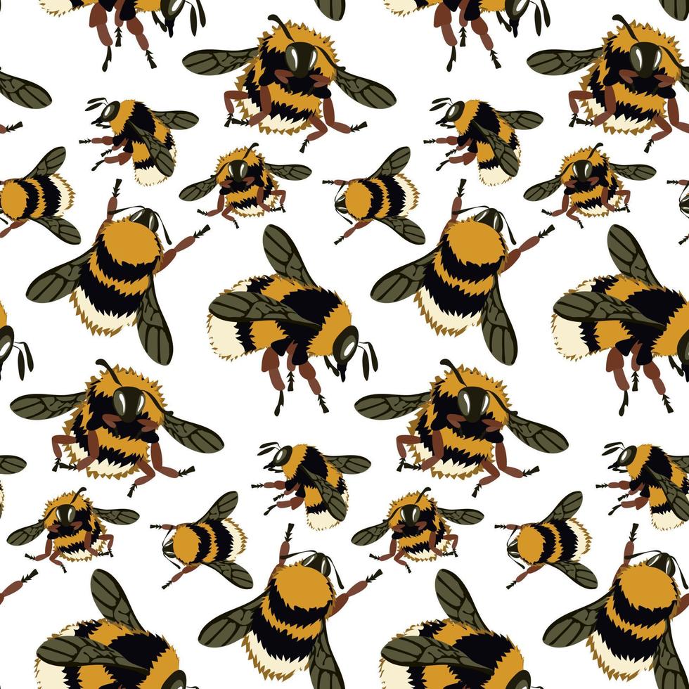 une modèle avec un image de une mon chéri abeille. duveteux les abeilles, bourdons dans différent pose mouche sur une blanc Contexte. Naturel Contexte avec les abeilles. grand et petit insectes. impression sur textiles et papier vecteur