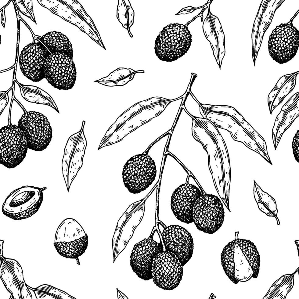 modèle sans couture dessiné à la main avec des fruits, des branches et des feuilles de litchi. illustration vectorielle dans le style de croquis botanique vecteur