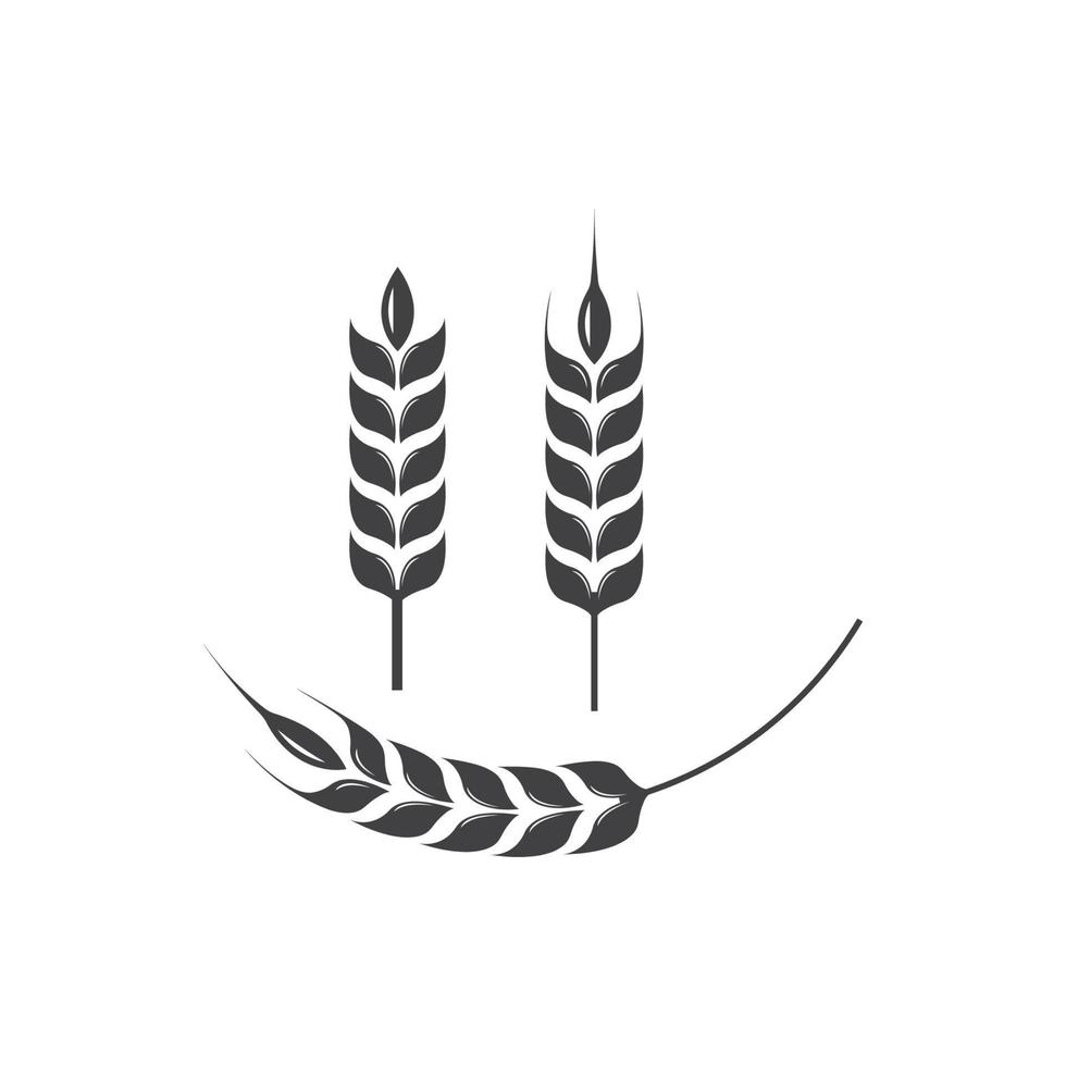 icône de vecteur de modèle de logo de blé de l'agriculture