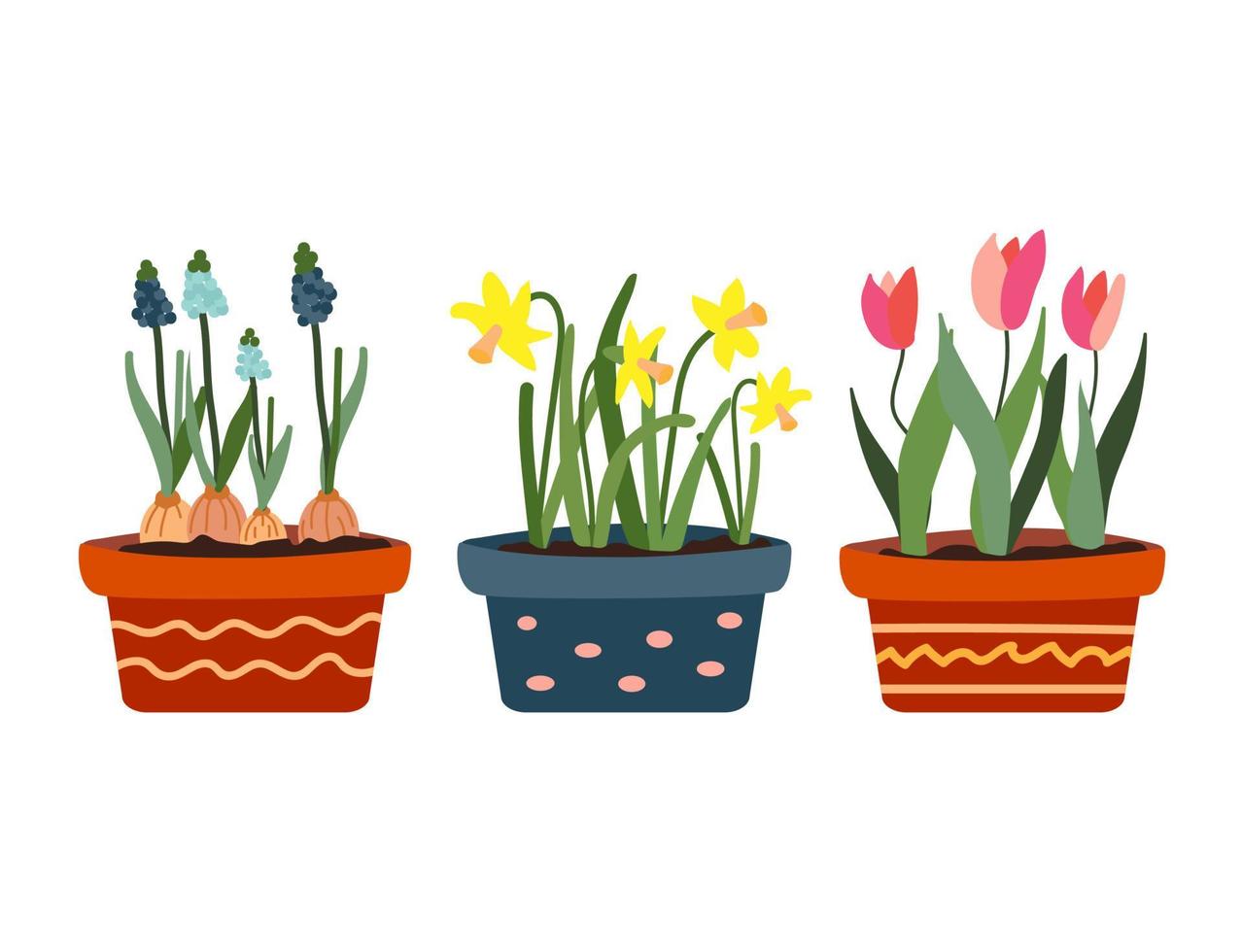 ensemble de floraison printemps les plantes dans marmites. sansevieria, jonquilles et tulipes. magnifique floraison les plantes. botanique thème. décoratif été jardin fleurs.fleur dans une pot.plat style vecteur illustration