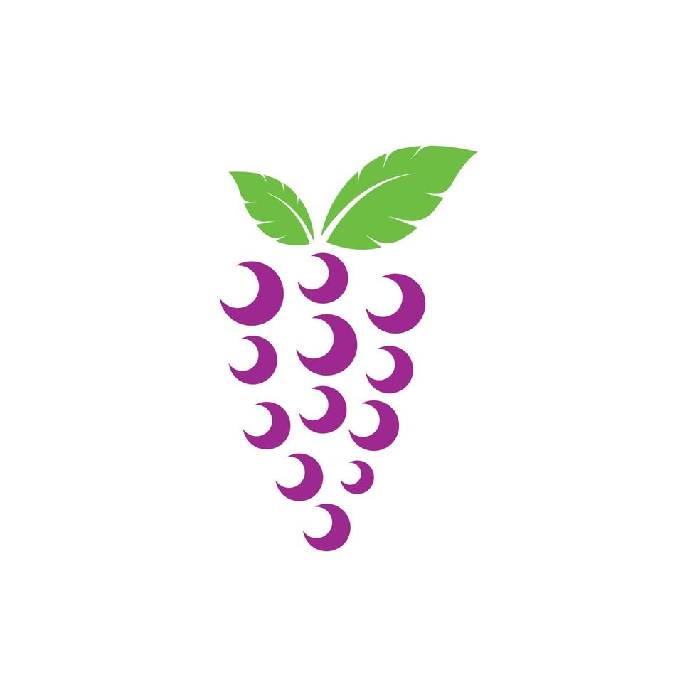 grain de raisin des fruits avec feuille icône vecteur illustrtion