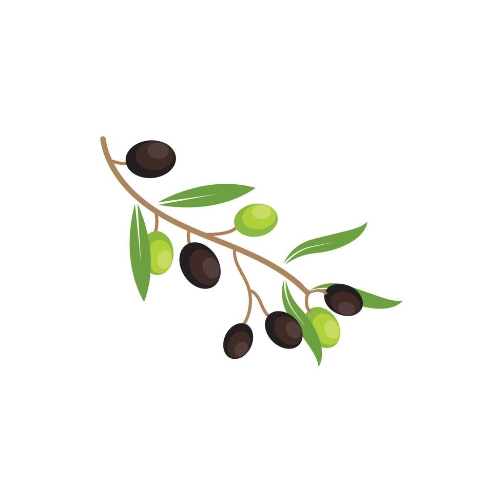 illustration vectorielle d'olive logo icône vecteur