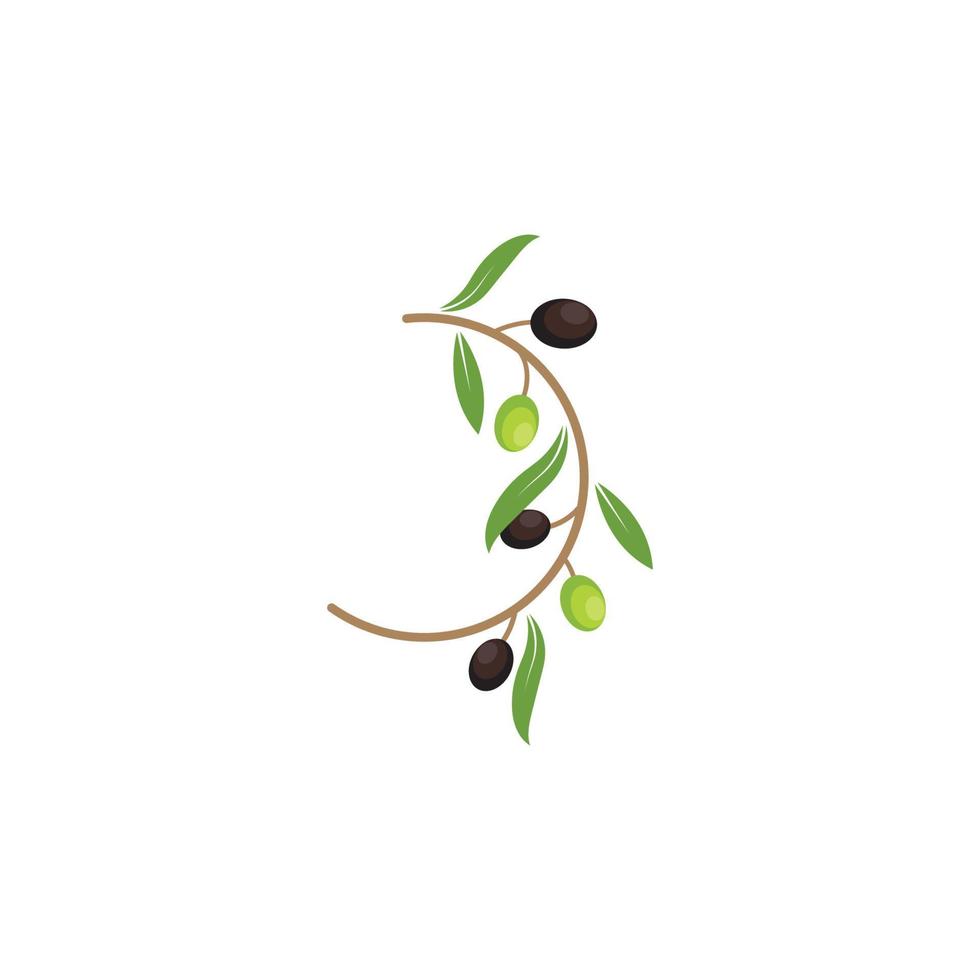 illustration vectorielle d'olive logo icône vecteur