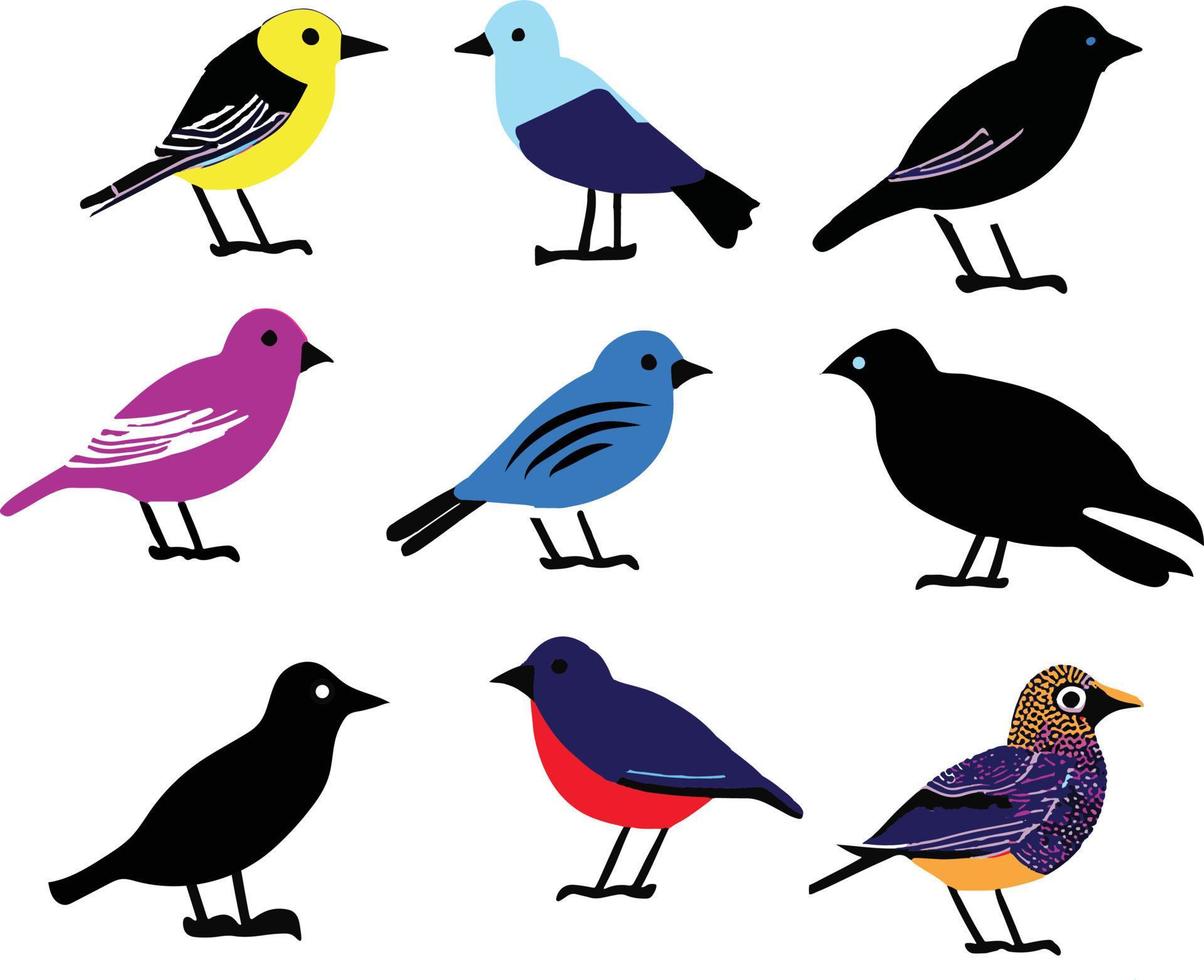 Couleur des oiseaux ensemble sans couture silhouette vecteur