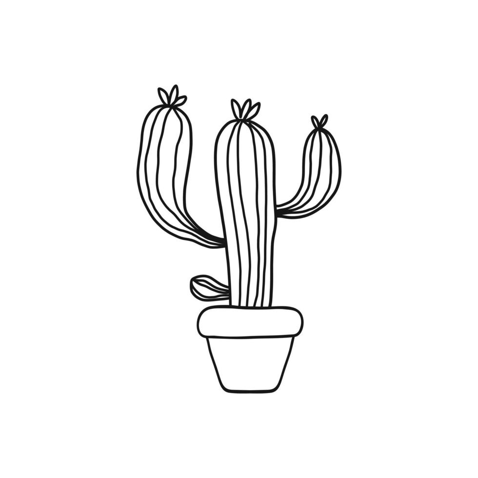 icône de vecteur de cactus. signe d'illustration de cactus. symbole ou logo du désert.