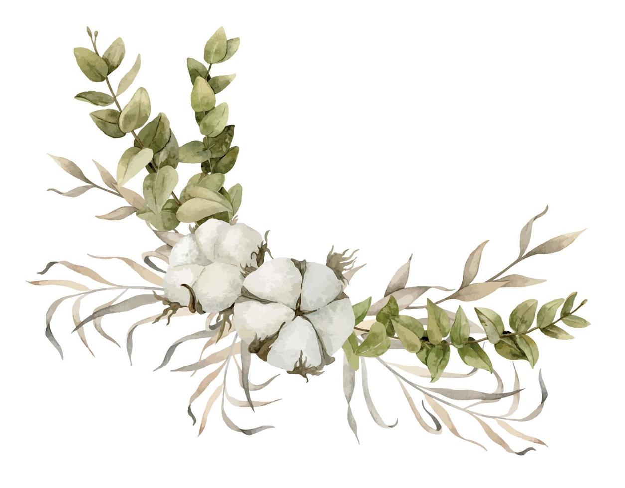 eucalyptus branches et coton fleurs avec séché les plantes. main tiré floral illustration sur isolé Contexte. coin composition pour salutation cartes ou mariage invitations. botanique dessin vecteur