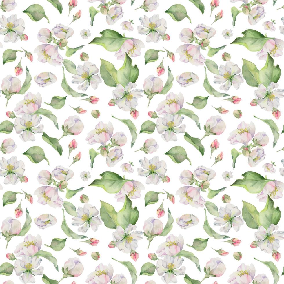 main tiré aquarelle Pomme fleurir, blanc et rouge fleurs et vert feuilles. sans couture modèle. isolé objet sur blanc Contexte. conception pour mur art, mariage, imprimer, tissu, couverture, carte. vecteur